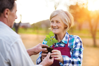 man handing senior woman a potted plant