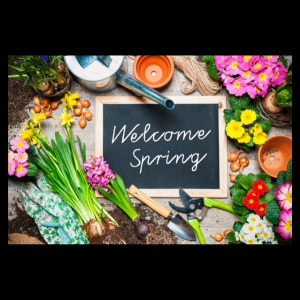 blackboard that says welcome spring in a flower garden