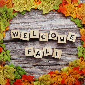 welcome fall stock image from canva with fall leaves foliage